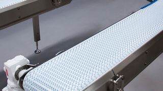 Die Hygieneförderer von FlexLink folgen den EHEDG-Richtlinien, lassen sich einfach und schnell reinigen und ermöglichen ein raumsparendes Layout. (FlexLink)