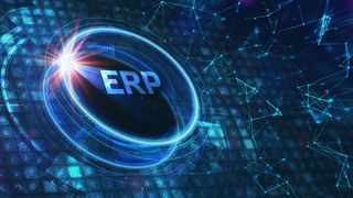 erp-putilov-denis-adobestock-355778328-neu (Quelle: putilov_denis - Adobe Stock)