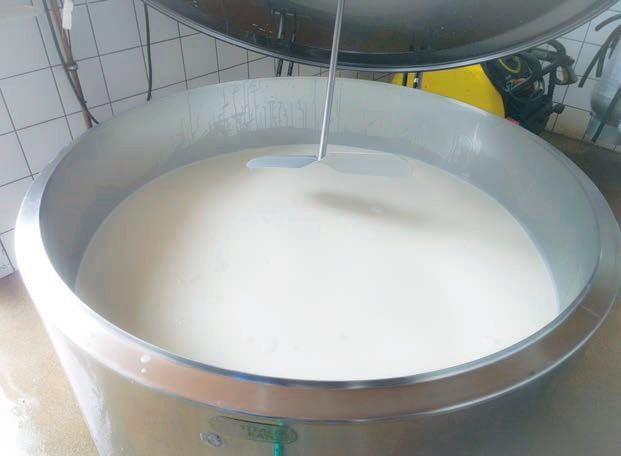 Currently India ranks first in milk production, accounting for more than 18.5 per cent of the world production. (thinkstockphotos.in)