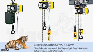 Elektro_Kettenzug_Yale_Hebezeug ()