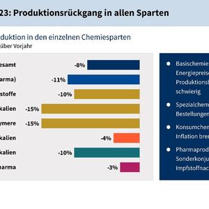 Entwicklung der Produktion in den einzelnen Chemiesparten(Bild:  VCI)