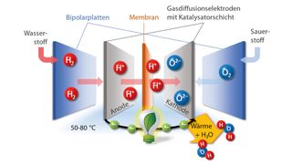 So ist eine Brennstoffzelle aufgebaut: Über die beiden Bipolarplatten werden Wasserstoff und Sauerstoff eingeleitet, in der Membran-Elektrodeneinheit reagieren die beiden Gase miteinander zu Wasser. Bei dieser chemischen Reaktion wird Energie in Form von elektrischem Strom und Wärme frei.  (Universität Bayreuth/Graphik: Andreas Rosin)