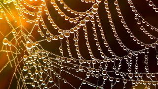 Lieferketten sind fragile Gebilde, doch man kann sie gezielt stärken. (Bild: gemeinfrei)