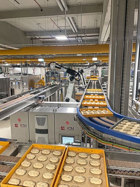 Zwei der vier Motoman GP180-Roboter entnehmen die Dielen am Frosterauslauf und setzen sie auf ein Förderband um. (Bild: ADM Automatisierungstechnik GbR)