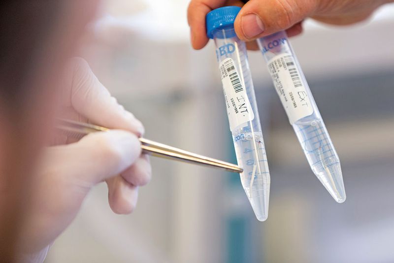 Ziel ist es, eine kombinierte Therapie in der Immunonkologie mit MVX-Onco-1 zu entwickeln, um mögliche Synergiepotenziale optimal zu nutzen.  (KTI)