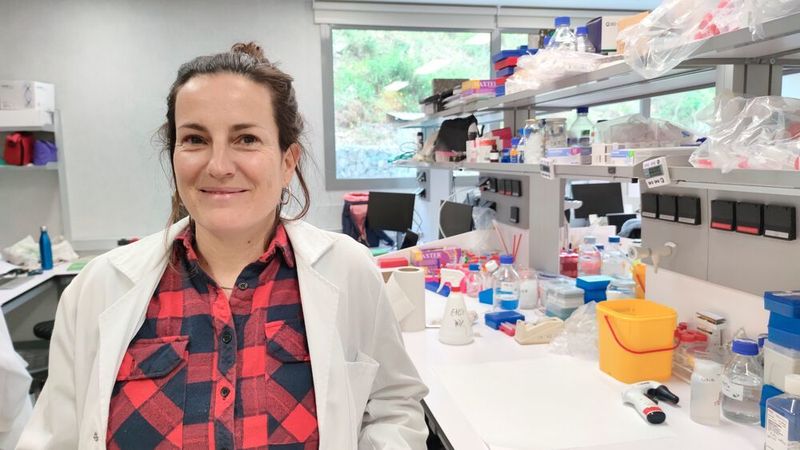 Dr. Mariona Graupera, co-lead author and Endothelial Pathobiology and Microenvironment group leader. (Josep Carreras Leukaemia Research Institute)