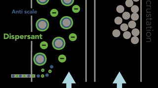 kebo-dsp-2-functionality (Keller & Bohacek GmbH & Co.)