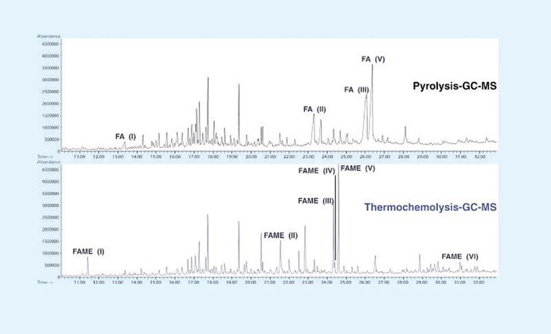 Abb. 3: Vergleich der Chromatogramme nach Pyrolyse-GC/MS und Thermochemolyse-GC/MS von Eozän-Bernstein aus Nigeria. (FAME: Fettsäuremethylester/FA: Fettsäuren; Beschreibung für Beschriftung im Text). (Bilder: Universität Mainz/Gerstel)