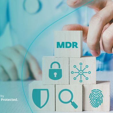 0132969349v1 (Bild: ESET)