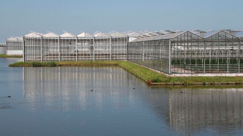 Heavy metals, microplastics, and antibiotic resistance genes increasingly co-occur in greenhouse soils, creating a combined contamination risk that challenges sustainable food production in high-intensity facility agriculture.(Source:  free licensed /  Pixabay)