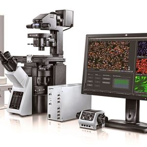 Dank künstlicher Intelligenz soll das Screening von lebenden Zellen mit der Software von Olympus noch schneller gehen.