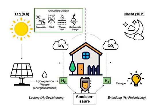 Modell einer möglichen bakteriellen Wasserstoffspeicherung(Bild:  Goethe-Universität Frankfurt)