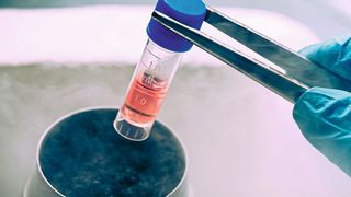 Abb. 1: Zell- und Gentherapieprodukte werden meist mithilfe von Flüssigstickstoff bei –196 °C eingefroren. Doch es kann auch einfacher gehen. (Bild: © sola_sola - stock.adobe.com)