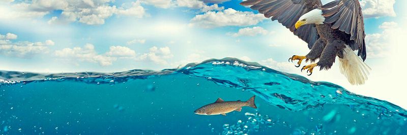 Attack Path Management zeigt IT-Sicherheitsverantwortlichen genau, wie Angreifer versuchen, sich mit den ausgefeiltesten Tricks Zugriff auf sensible und profitable Datenschätze zu verschaffen. Attack Path Management zeigt IT-Sicherheitsverantwortlichen genau, wie Angreifer versuchen, sich mit den ausgefeiltesten Tricks Zugriff auf sensible und profitable Datenschätze zu verschaffen.