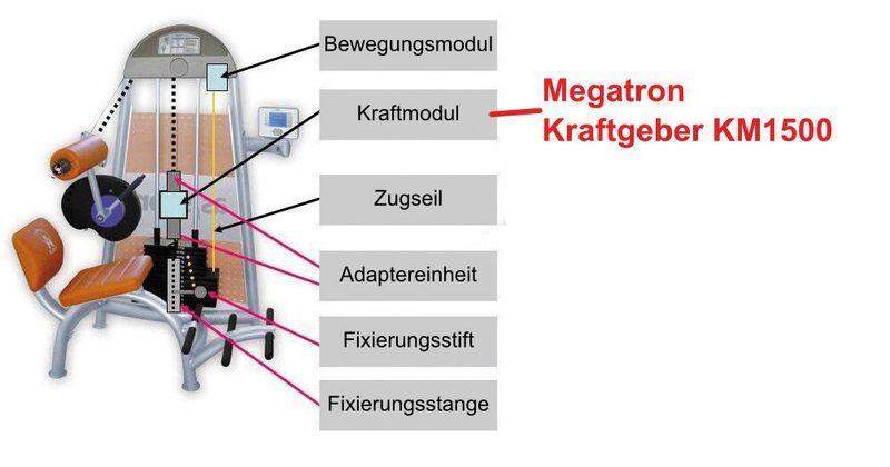 Das Trainingsgerät unterstützt effektives Training der Rückenwirbelsäule. Die Sensorik liefert zuverlässige Basisdaten für den computergestützten Trainings- oder Rehaplan (Bild: Megatron)