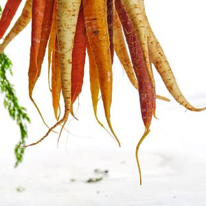 Karotten sind nicht für jeden bekömmlich – selbst dann nicht, wenn sie gekocht wurden (Symbolbild).(Bild:  gemeinfrei, Gabriel Gurrola / Unsplash)