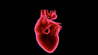 Der 3D-Biodruck profitiert von Technologien wie Tissue Engineering, synthetischer Biologie, Mikro- beziehungsweise Nanofabrikation und Biomaterialproduktion.  (Bild: gemeinfrei)