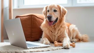 Auch in Tierarztpraxen nimmt die Digitalisierung merklich an Fahrt auf. (© Ceric Jasmina - stock.adobe.com / KI-generiert)