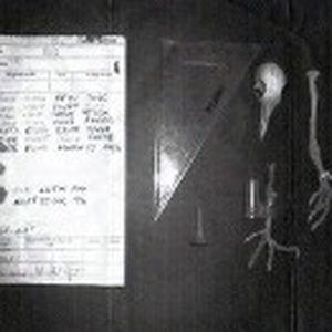 Bei der Renovierung seines Hauses in Surrey hat der Brite David Martin das Skelett einer Brieftaube entdeckt, an das auf dünnem Papier der Nachrichtencode gebunden war. Es wird vermutet, dass die Botschaft um den 6. Juni 1944 herum verschickt wurde, dem Datum der Invasion der Alliierten in der Normandie. Für diesen Tag hatte der britische Premier Winston Churchill strengste Funkstille verodnet. (Bild:  PRNewsFoto/Newsline)