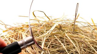 Die Fahndung nach einer bestimmten Datei kann sich bisweilen hinziehen wie die sprichwörtliche Suche nach der Nadel im Heuhaufen. (Bild: ©Victor Moussa - stock.adobe.com)