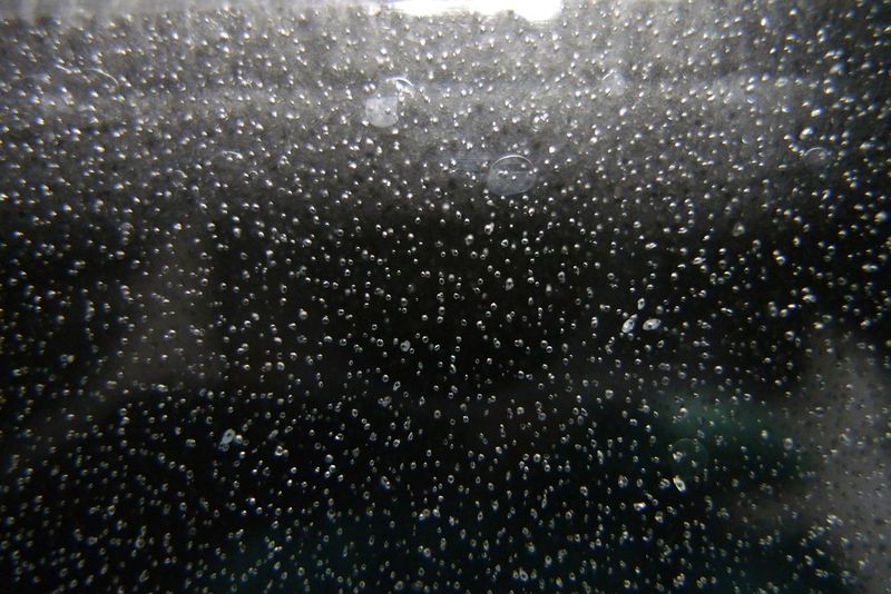 Abb. 5: Das Eis wird mit zunehmender Bohr-Tiefe immer transparenter. Bis in 1.000 Metern Tiefe erscheint das Eis als Folge der Luftblasen, die man hier gut erkennen kann, milchig grau. (Bild: Sepp Kipfstuhl, Alfred-Wegener-Institut)
