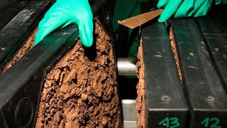 Organosolv-Lignin nach Fällung und Filtration auf der Filterpresse. (Fraunhofer-CBP)