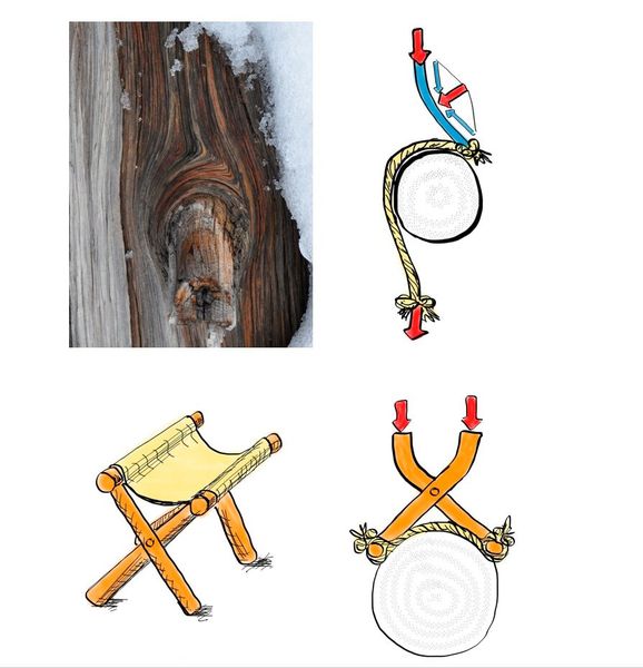 Platz 6: Trickreiche Faserverläufe in Astanbindungen sorgen dafür, dass sich Faserverläufe um Einschlüsse selbst verriegeln. Prof. Dr. Mattheck und seine Kollegen vom KIT zeigen, wie diese Entdeckung in Konstruktion und Entwicklung genutzt werden kann. (Bild: C. Mattheck)