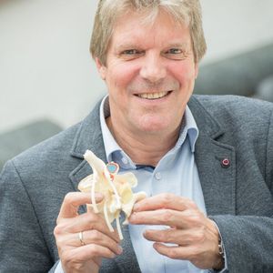 Prof. Hans-Joachim Wilke mit einem Wirbelknochenmodell mit Bandscheibe aus Kunststoff.