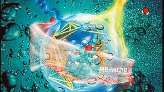 Wasserstoffbrückenbindungsnetzwerk um den Alkohol: Die innere und äußere Hydratationsschicht mit unterschiedlichen Eigenschaften wurden als „HB-wrap“ und „HB-hydration2bulk“ bezeichnet. (Marie-Pierre Gaigeot)