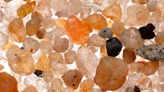 Auf einem einzelnen Sandkorn leben bis zu 100.000 Mikroorganismen aus tausenden von Arten. (©lexuss - stock.adobe.com)