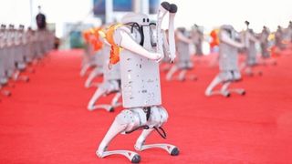 Unitree robots at the World Robotics Conference 2024 in Beijing. (Bild: Unitree)