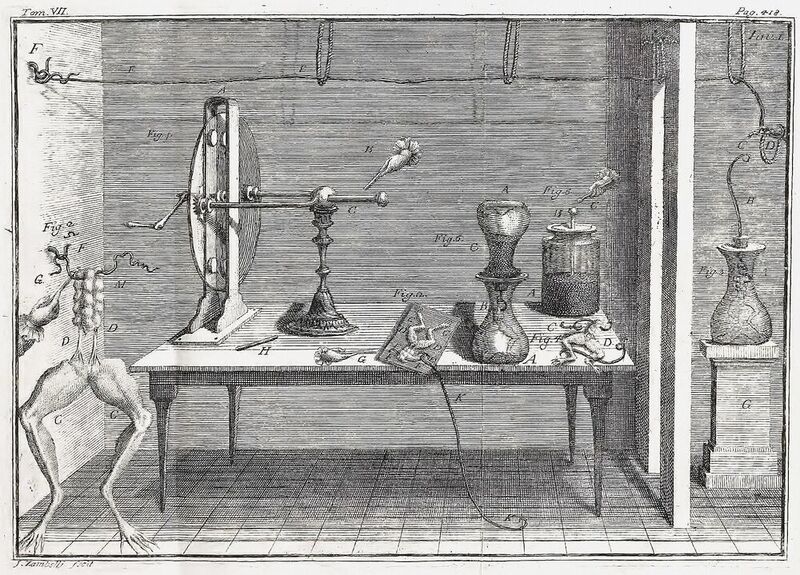 Im Jahr 1900 entwickelte Edison die wiederaufladbare galvanische Zelle. Das Bild zeigt das Froschschenkel-Experiment, bei dem Galvani um 1780 beobachtete, dass die Muskeln zucken, wenn er die Froschschenkel mit zwei miteinander verbundenen Drähten aus verschiedenen Metallen berührte. (gemeinfrei)
