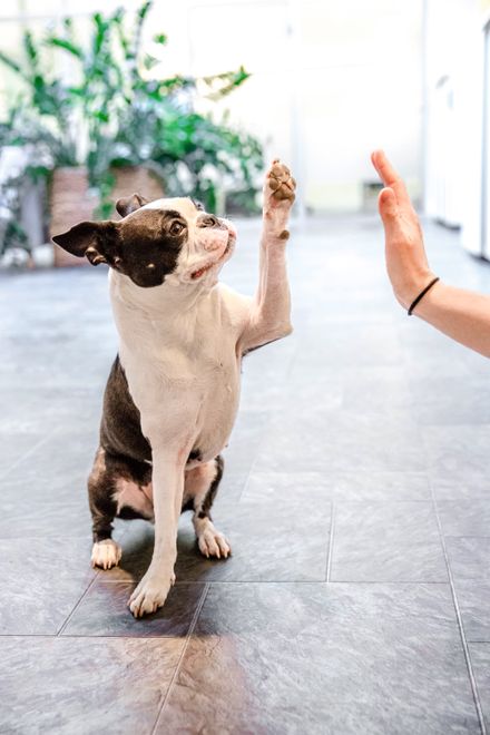 Mainz_2017_3.jpg (]init[ AG für digitale Kommunikation)