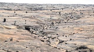 Die Landschaft mit den schwarzen Flecken: Sie entstehen durch die im trockenen Zustand gräulich gefärbten Organismen der Grit Crust.  (Patrick Jung )