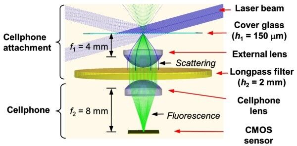 Lichtstrahlverauf in der Optik von Mikroskop und Smartphone (Bild: UCLA)