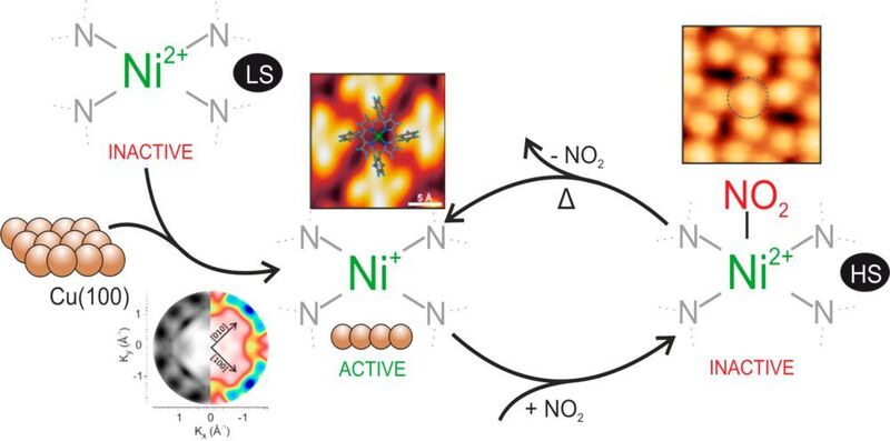 Model porphyrin-based multifunctional interface for spin-switching and tuning. (Forschungszentrum Jülich)