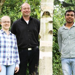 (Christian Urban, Universität Kiel)