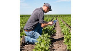 Softwarelösungen für die Landwirtschaft zählen zu den Schwerpunkten des brasilianischen Ag-Ventures II Fonds. (Bild: BASF)