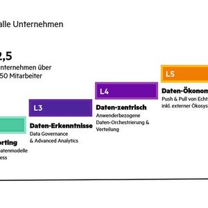 Vor allem KMU hinken laut dem Modell beim effektiven Nutzen von Daten hinterher. (Bild:  HPE)