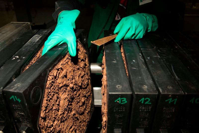 Organosolv-Lignin nach Fällung und Filtration auf der Filterpresse (Fraunhofer CBP)