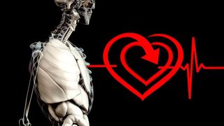 Mit dem von Intel entwickelten Prozessor Loihi soll es künfitg möglich sein, die Frequenz des Herz auf Unregelmäßigkeiten hin zu untersuchen. Dazu lernt der neuromorphe Chip selbstständig. (Bild: pixabay)