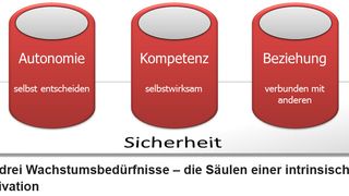 Die drei Wachstumsbedürfnisse von Arbeitnehmern. ( Profilberater)