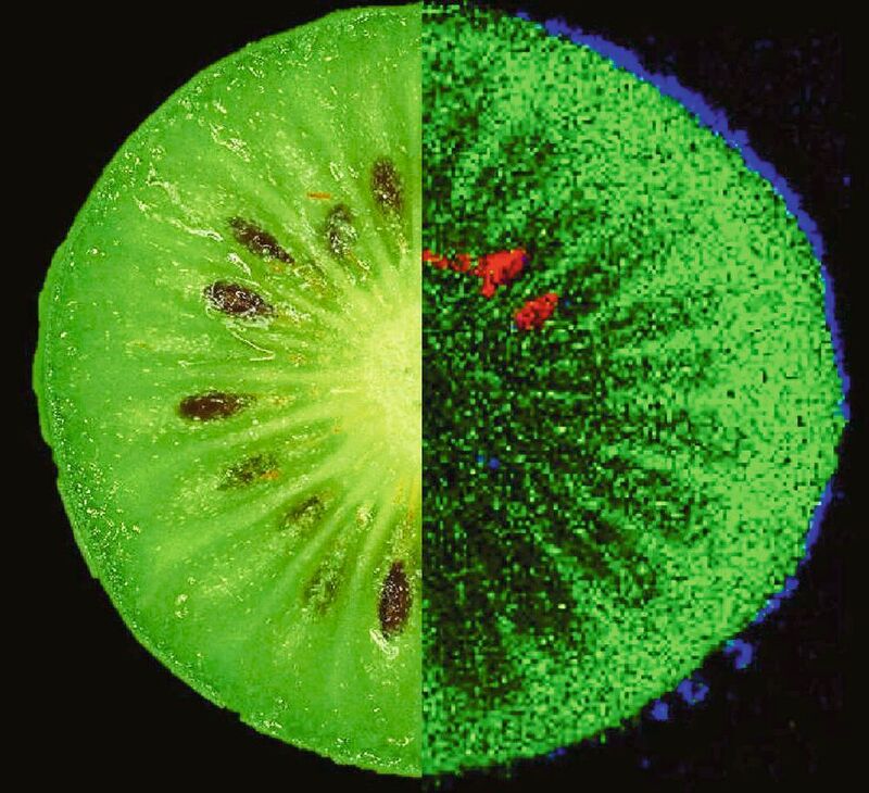 Inhaltsstoffe einer Kiwi: grün = Zucker, blau = Polyphenol, rot = kiwitypisches Lipid.