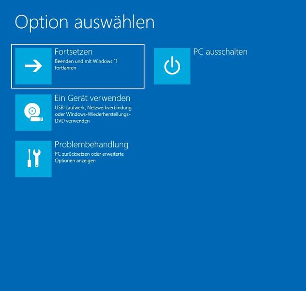 Wiederherstellungsoptionen von Windows 11 nach dem Systemstart. (Bild: Microsoft / Joos)