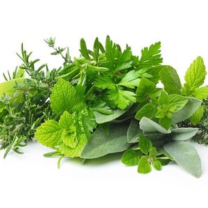 1 Pyrrolizidine alkaloids in herbs can be harmful for consumers.