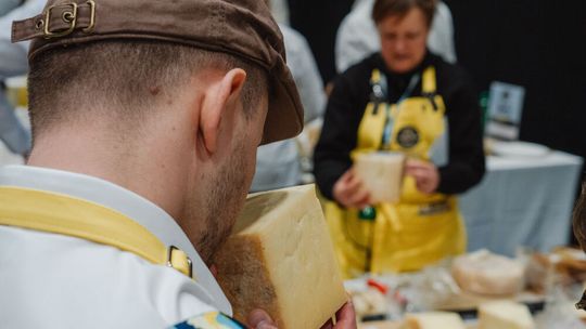 Blind, ohne sichtbare Markenzeichnen und ohne Angaben zu Herkunft und Hersteller, beurteilten Jurorinnen und Juroren 5'244 Käse aus 46 Ländern.(Bild:  ©Switzerland Cheese Marketing)