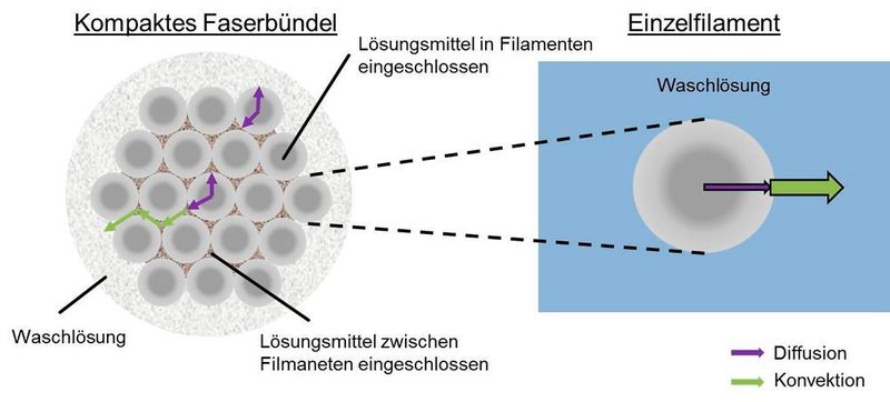 Bild 1: Prinzip des Stoffübergangs im kompakten Faserbündel. (Bild: ITA)