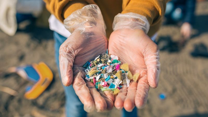 Makro-, Mikro- und Nanoplastik sind mittlerweile in unserer Umwelt ubiquitär - und gelangen von dort auch in die Nahrungskette. (Symbolbild)(Bild:  © David Pereiras – stock.adobe.com)