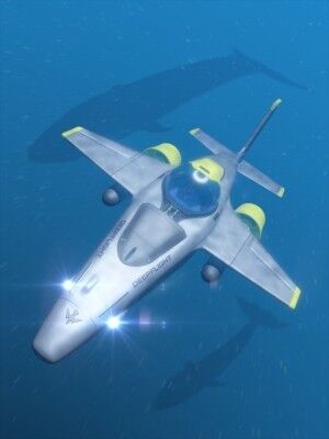 Der Black Hawk: Ein äusserst wendiges Unterwasserfahrzeug (DeepFlight)