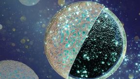 A new core-shell design for anodes aims to reduce storage losses during the first charge cycle of sodium-ion batteries. (Image:BAM)